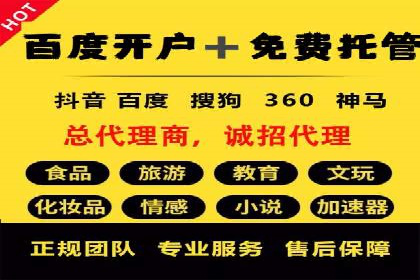Sem优化公司案例：精准广告投放策略解析